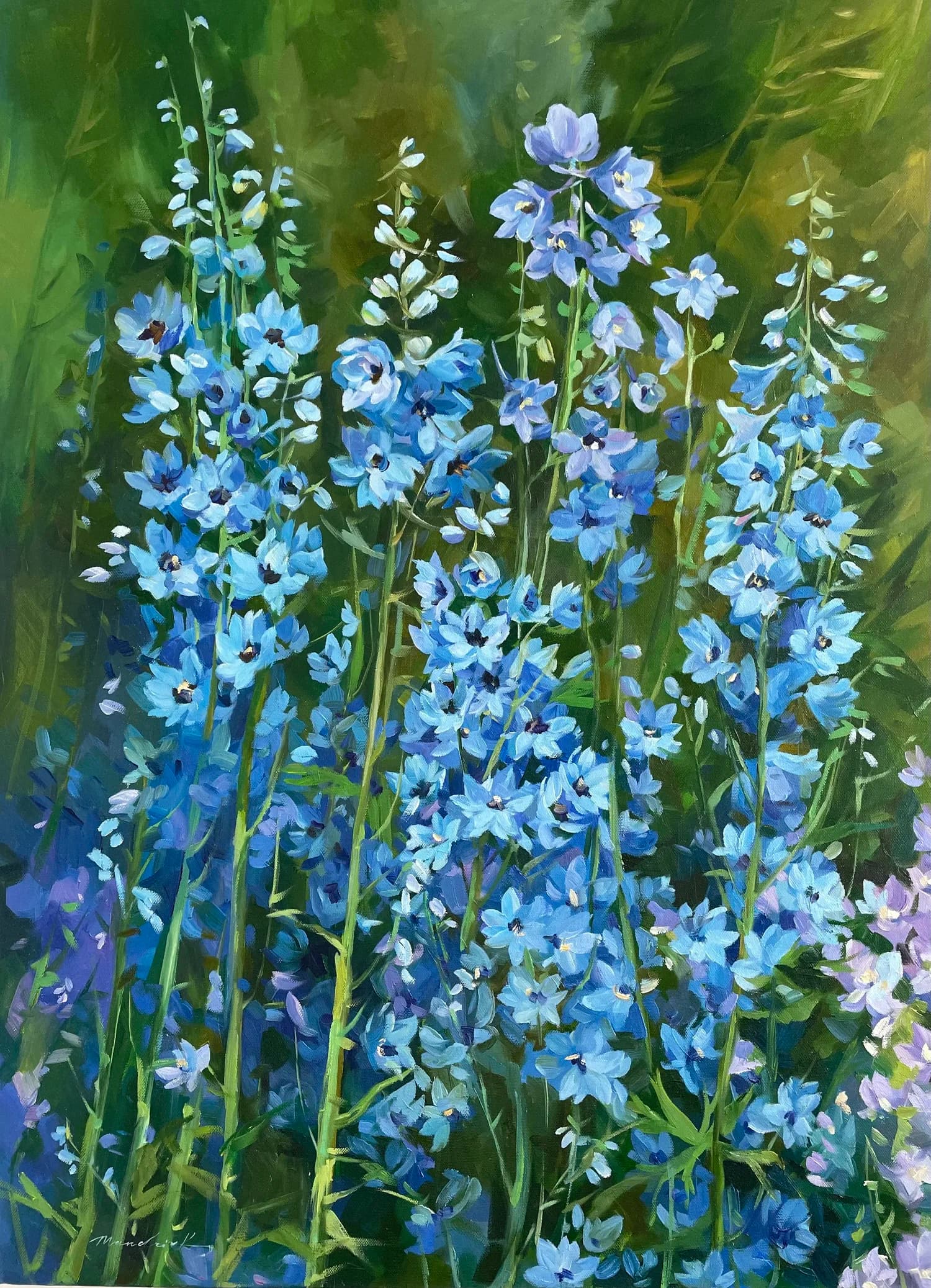 Delphinium