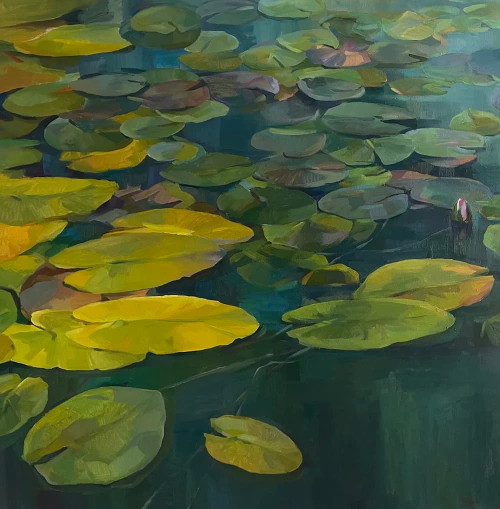 Water lilies